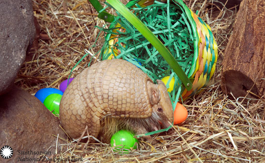 easter at the zoo