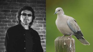 Tony Iommi and a dove