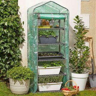 portable greenhouse win green lawn with plants and fruit bucket