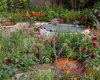 Finding Our Way: An NHS Tribute Garden. Designed by Naomi Ferrett-Cohen at RHS chelsea flower show