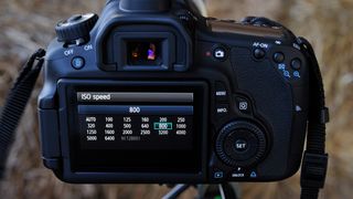 Canon camera with ISO settings