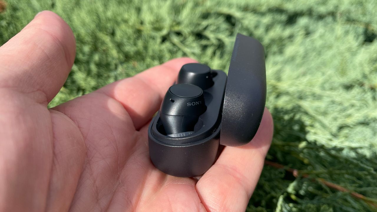 A black pair of Sony WF-C510 in-ear headphones being held in the palm of a person's hand. They are in the case and the lid is open. You can tell they are outside because there is grass in the background.