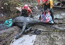 Bog-rescue.jpg