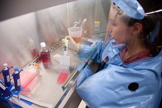 An employee of the Public Health Agency of Canada works inside of the National Microbiology Laboratory's "level 4" lab, which is designed with safety measure required for working on the most deadly infectious organisms.