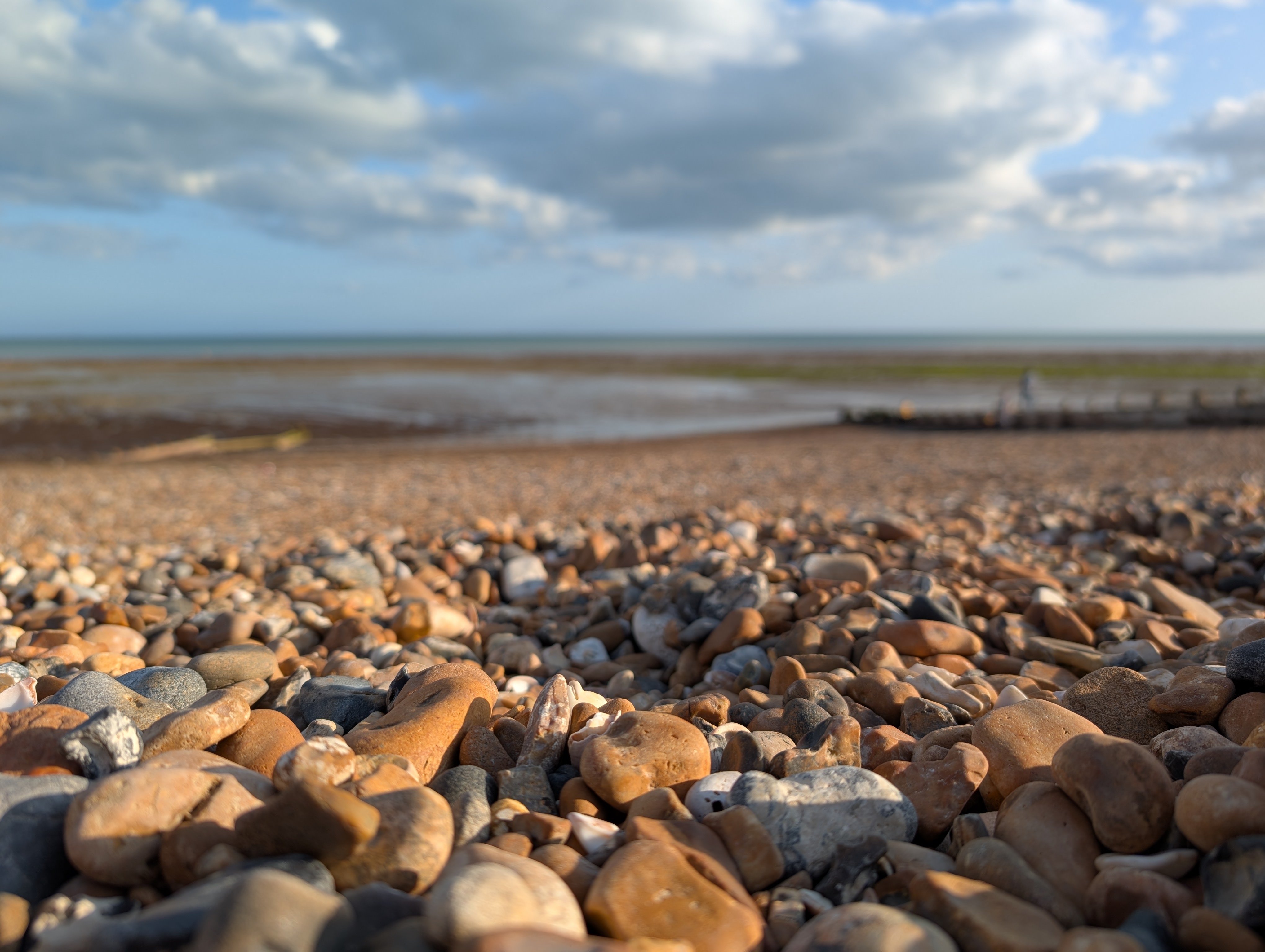 Google Pixel 9 Pro XL camera sample beach macro