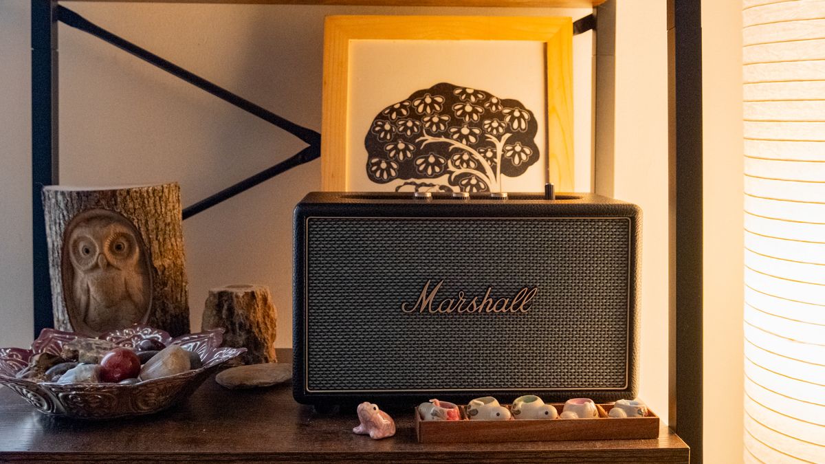 A black Marshall Acton IV on a bookshelf