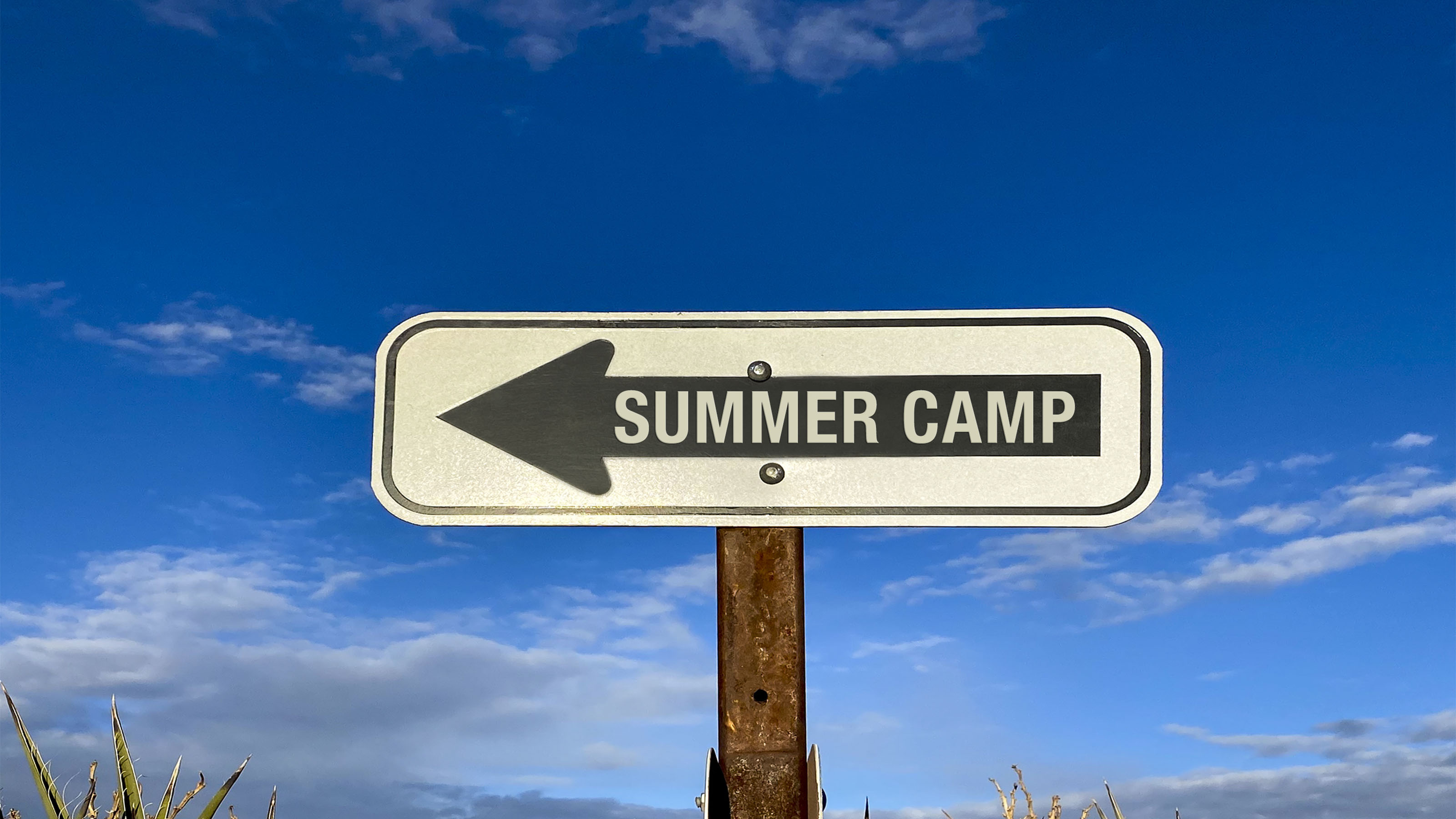 Summer Camp Tax Breaks For 2023 | Kiplinger