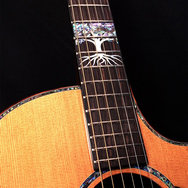 Faith Guitars The Twenty Legacy guitars