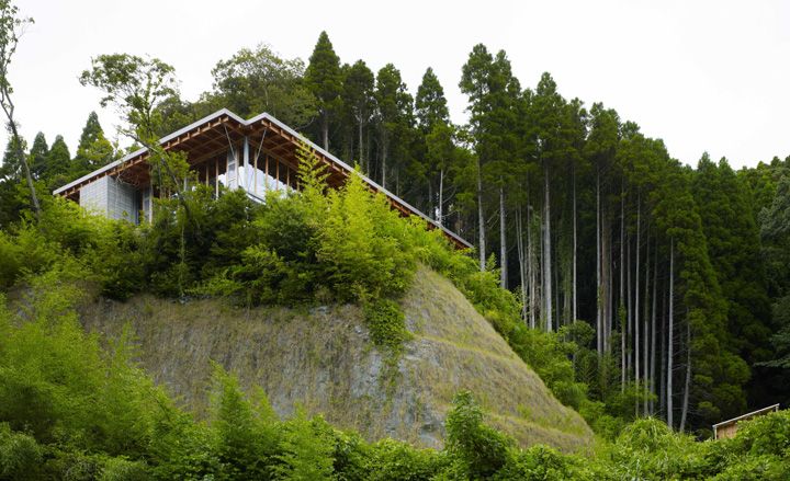 woodlands of Chiba prefecture