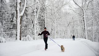 Walking dog in the snow