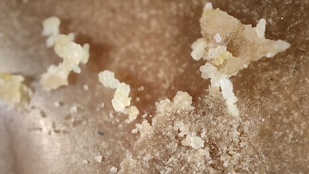 These Realme GT 2 Pro microscope photos show how far camera phones have ...