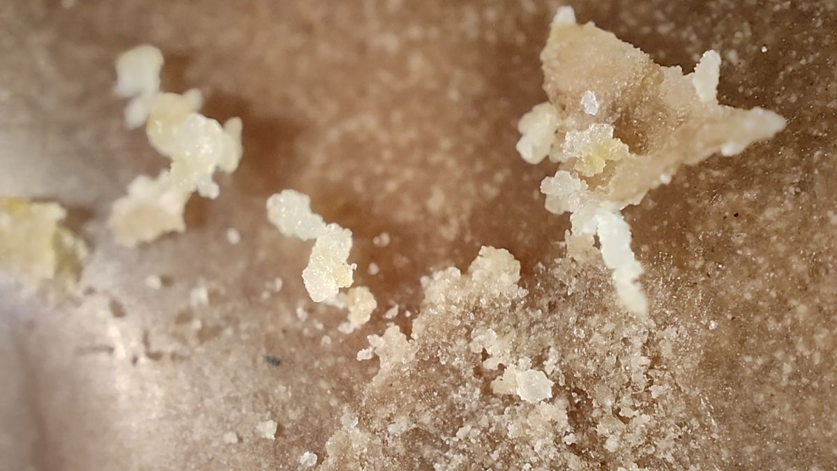 Microscopic picture of a biscuit taken using the Realme GT 2 Pro