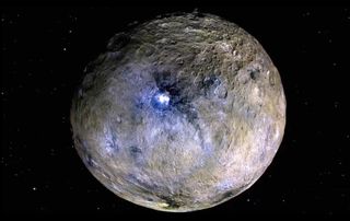 A false-color image highlights different materials on the surface of the dwarf planet Ceres.