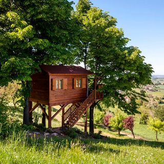 Wooden treehouse on stilts with wooden stairs in green meadow
