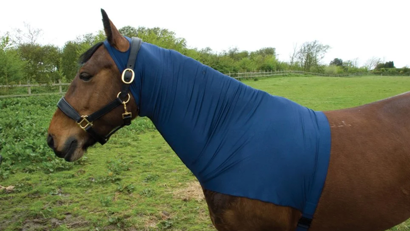 Rhinegold Satin Lycra Stretch Neck Cover