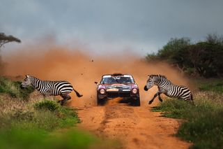 Zebras running across a motor race track