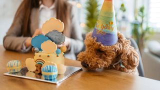 Woman celebrating her dog's birthday