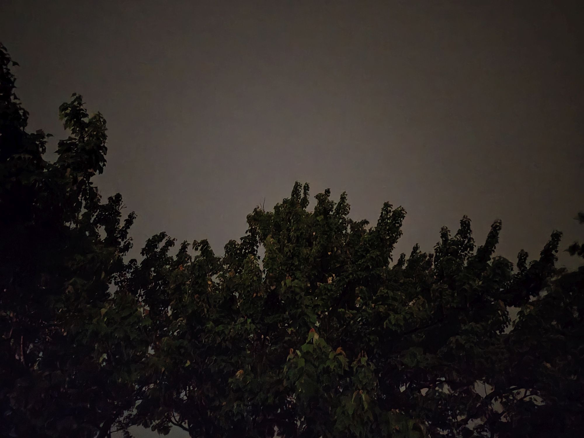 Motorola Razr Plus 2024 low light sample.