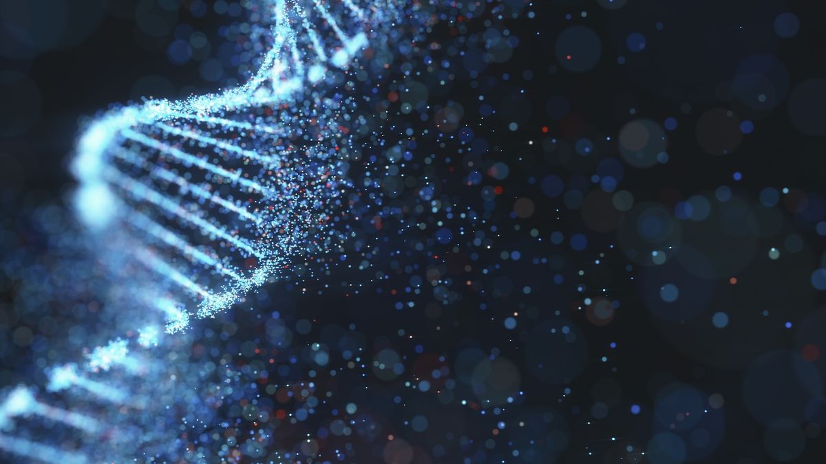 Immune genes linked to bigger brains and longer lifespans in mammals — including humans