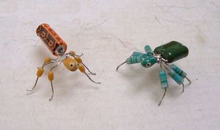 Computer Bugs