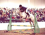 4F29FB2C-5711-4306-8843-E764BD1C6E4E.jpg