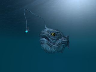 An illustration of an anglerfish.