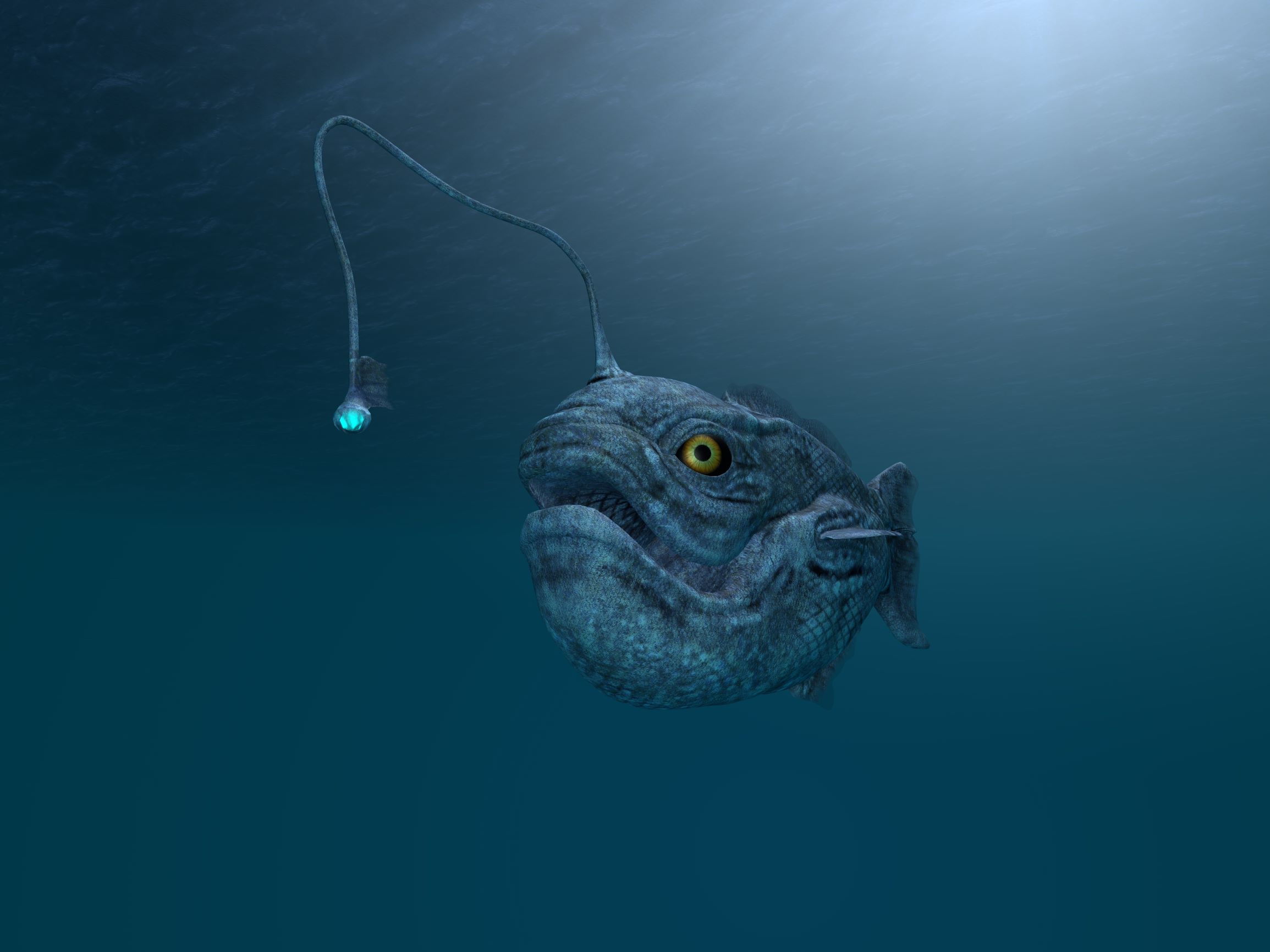 The Creepy Anglerfish Comes to Light. (Just Don't Get Too Close