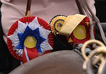 driving-rosettes.jpg