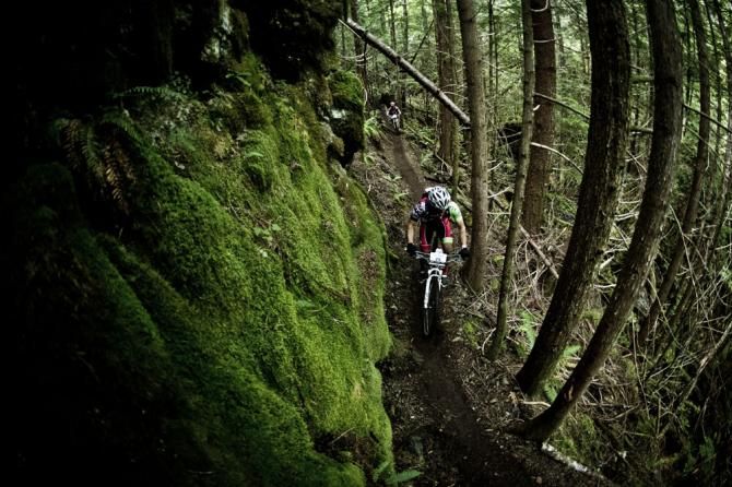 BC Bike Race singletrack
