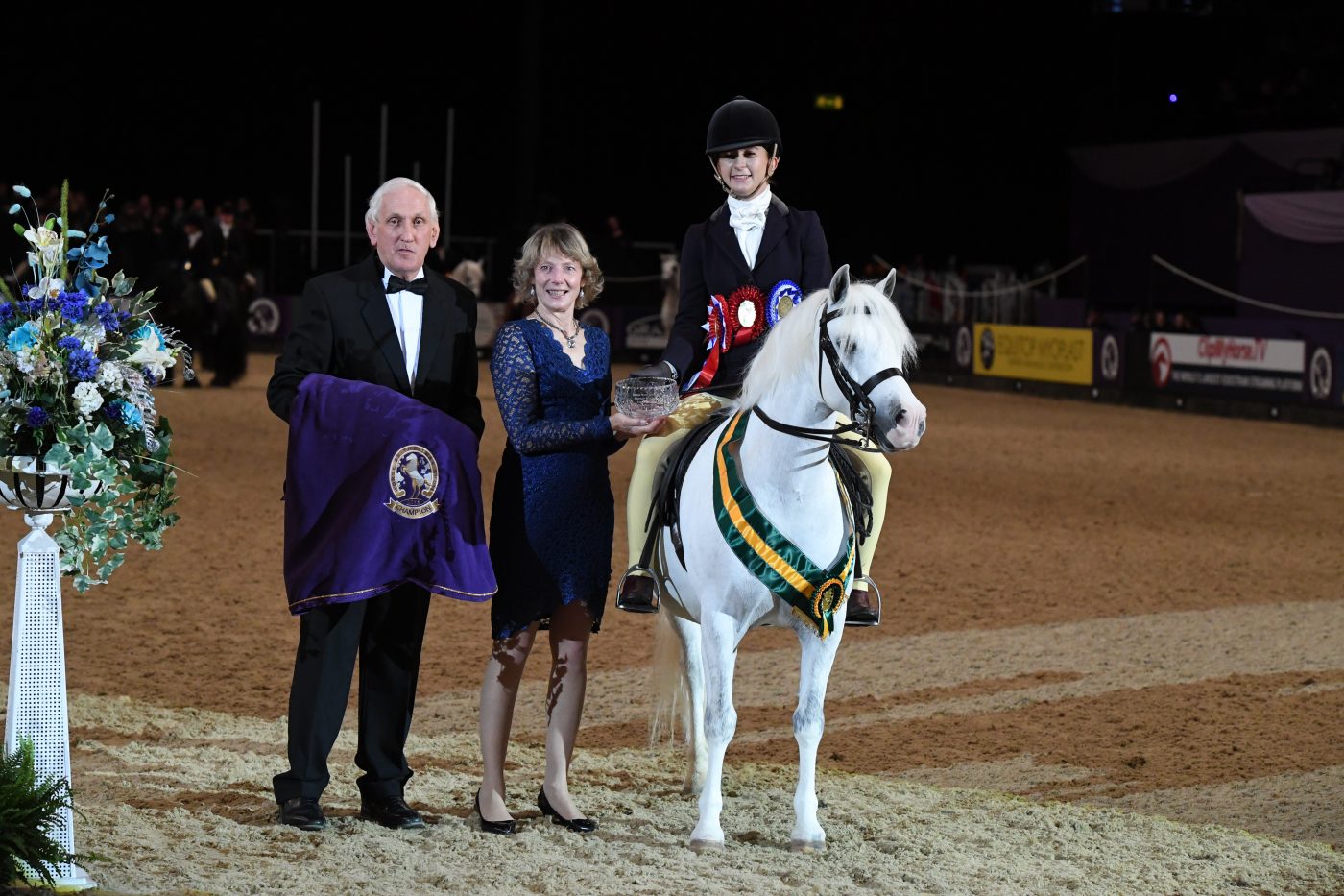HorseNo742_HOYS_PN19_146984_348768912_587470582-e1570524392702.jpg