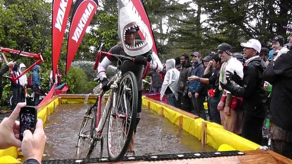 Rachel Lloyd came out of retirement, briefly, as a shark.