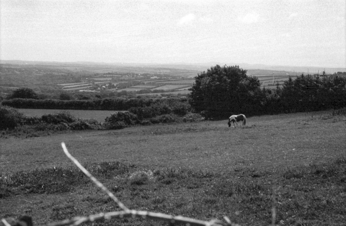 Samples of Fomapan 400 developed with the Ago film processor