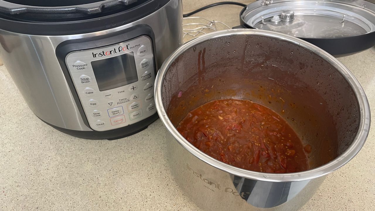 Instant Pot duo plus review