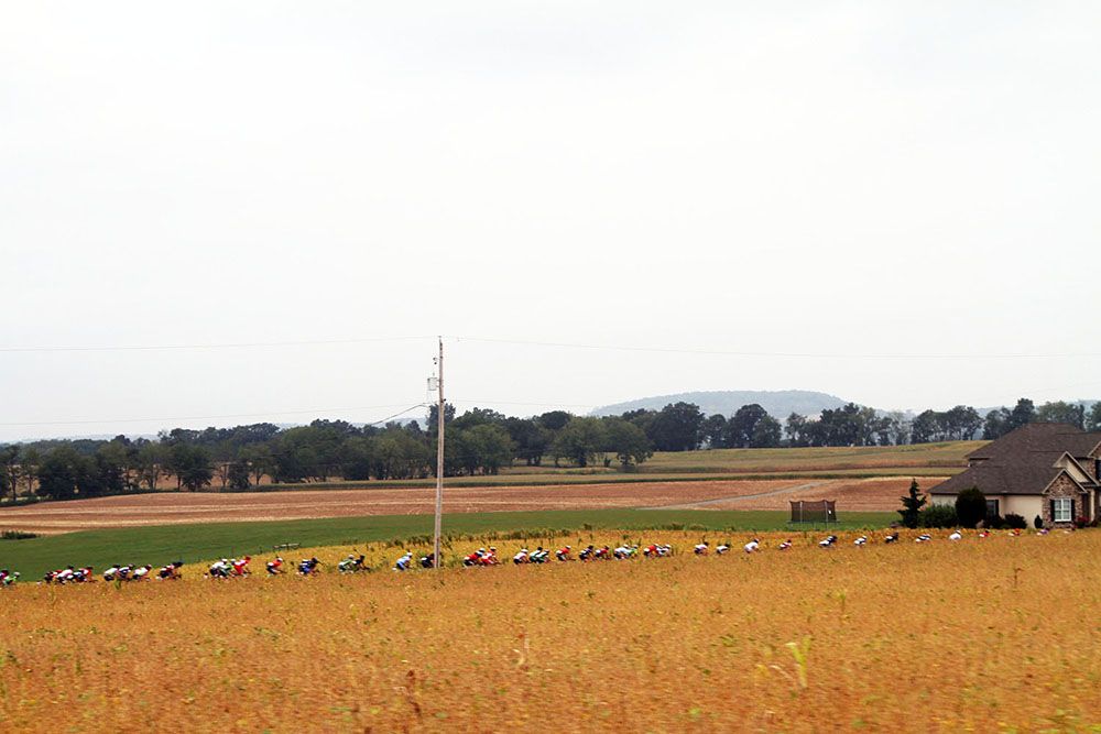 The riders proceed through flower-covered farms.