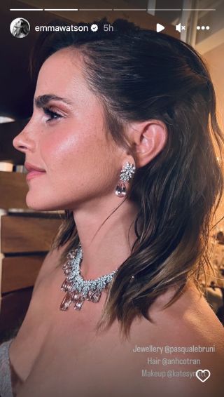 Close-up Instagram Stories picture of Emma Watson's face