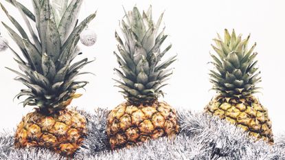 Pineapple, Ananas, Fruit, Plant, Botany, Food, Bromeliaceae, Terrestrial plant, Produce, Poales, 