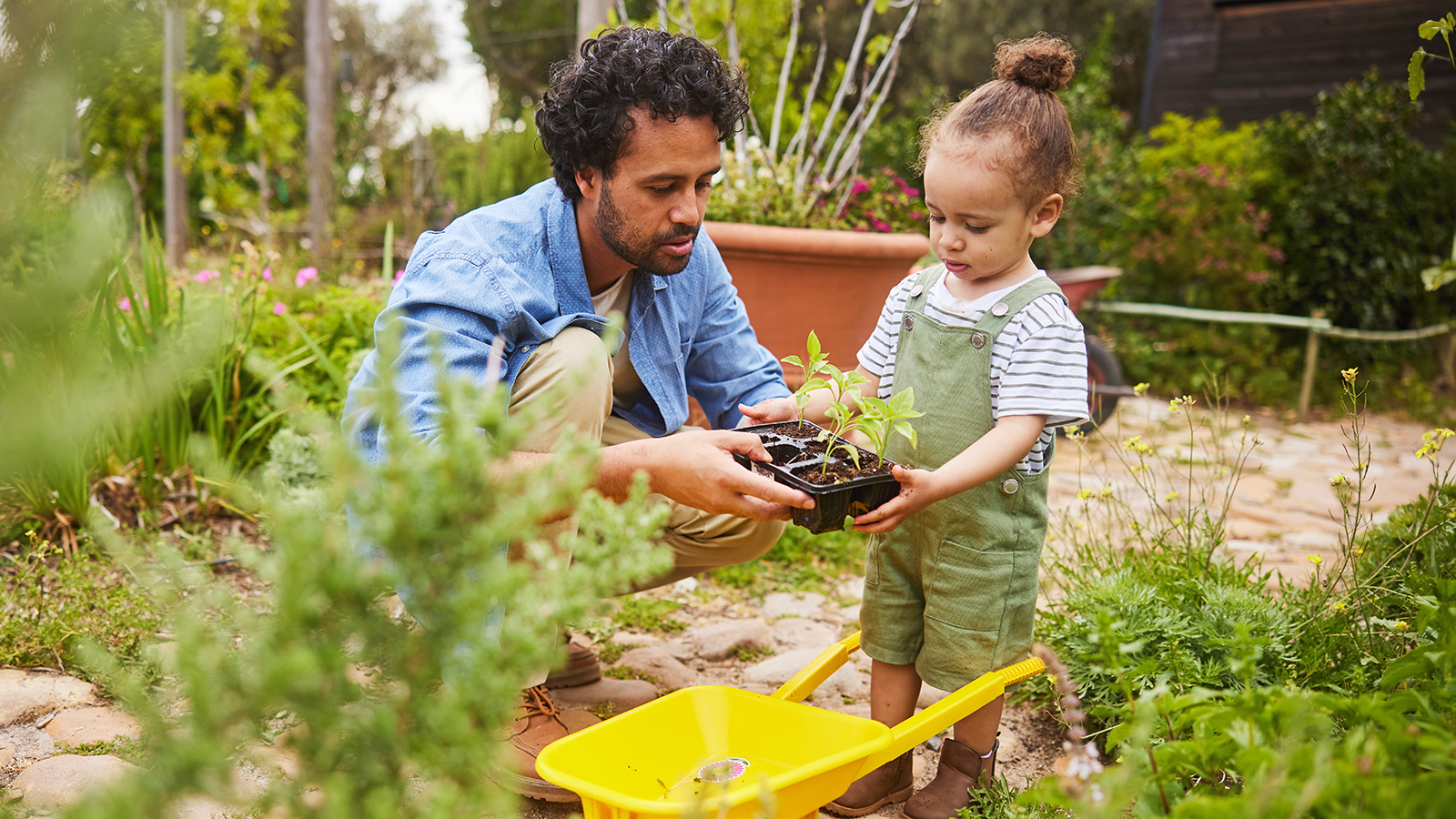 Daughter helps dad in the garden