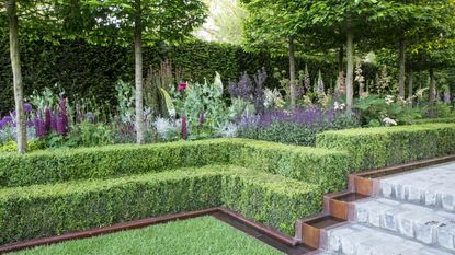 smartly clipped tiered hedges with flower beds and steps