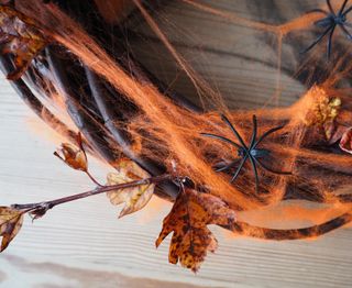 halloween wreath diy with orange and black web, plastic spider, foraged stems