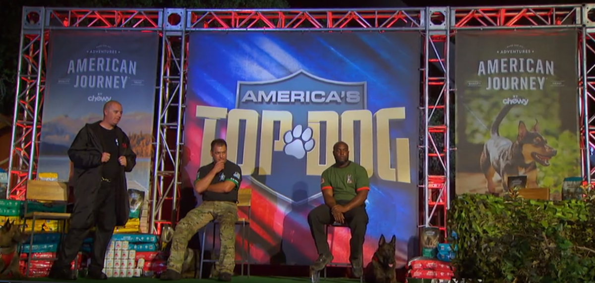 Chewy Collars Sponsorship of A&E’s ‘Top Dog’ Series Next TV