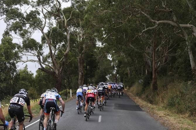 Australian Gum trees line the course.