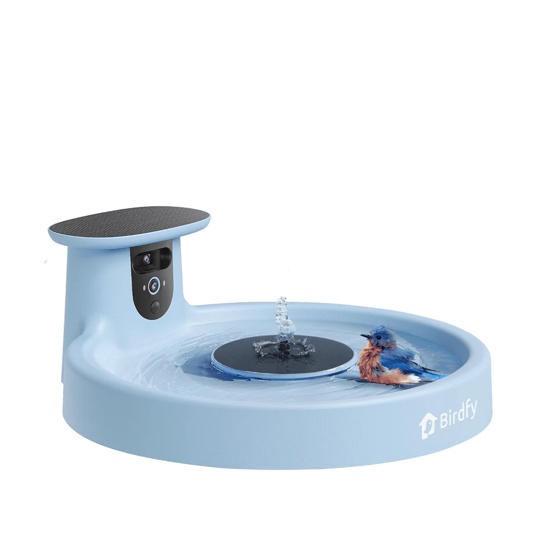 A blue Birdfy smart bird bath with a bird inside the water