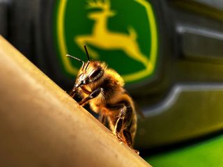 A photo of a wasp on a tractor at Robin Hood Golf Club