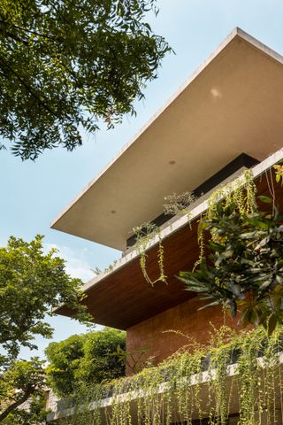 Outside view of House of Greens, looking up at the levels of falling shrubbery