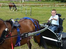 Ethan driving his pony