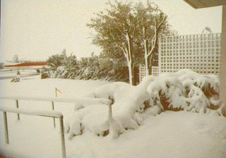 On Dec. 13 and 14, 1987, 22.4 inches (57 cm) of snow fell on El Paso.