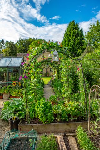 raised beds in a garden with arches and greenhouse in the background