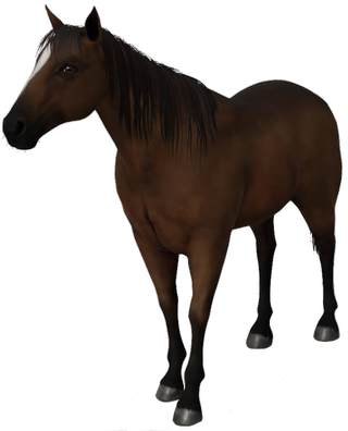 Horse Google Search 3D model