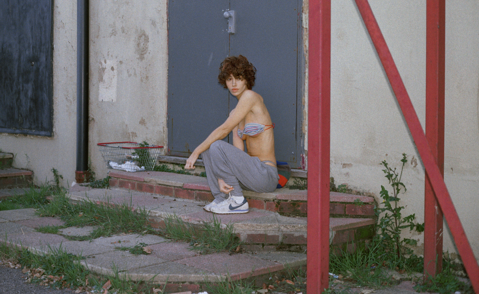 nadie lee cohen holy ohio book