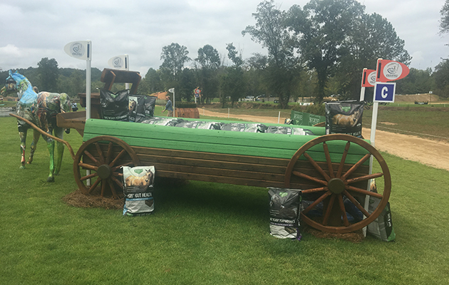 World Equestrian Games cross-country course